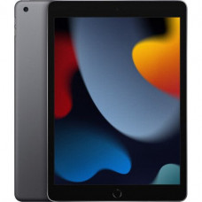 Планшет Apple iPad 10.2 2021 Wi-Fi 256GB Space Gray (MK2N3)