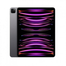 Планшет Apple iPad Pro 11 2022 Wi-Fi + Cellular 2TB Space Gray (MP5G3, MNYL3)