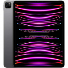 Планшет Apple iPad Pro 11 2022 Wi-Fi 2TB Space Gray (MNXM3)