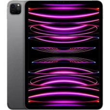 Планшет Apple iPad Pro 11 2022 Wi-Fi + Cellular 256GB Space Gray (MP573, MNYE3)