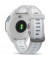 Смарт-часы Garmin Forerunner 165 Mist Gray/Whitestone (010-02863-21/A1)