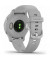 Смарт-часы Garmin Venu 2S Silver Stainless Steel Bezel with Mist Gray Case and Silicone Band (010-02429-12/02)