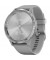 Смарт-часы Garmin vivomove 3 Sport Grey-Silver Silicone (010-02239-20)