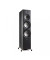 Фронтальные акустические колонки Polk audio Reserve R700 Black