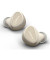 Навушники TWS JABRA Elite 5 Gold Beige (100-99181701-98)