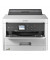 Принтер Epson WorkForce Pro WF-C5210DW (C11CG06401)