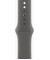 Смарт-годинник Apple Watch Series 10 GPS + Cellular 42mm Natural Titanium Case w. Stone Grey Sport Band - S/M (MWXD3)