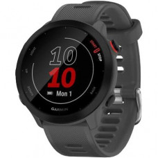 Спортивний годинник Garmin Forerunner 55 Monterra Grey (010-02562-13)