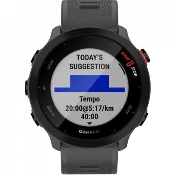 Спортивные часы Garmin Forerunner 55 Monterra Grey (010-02562-13)