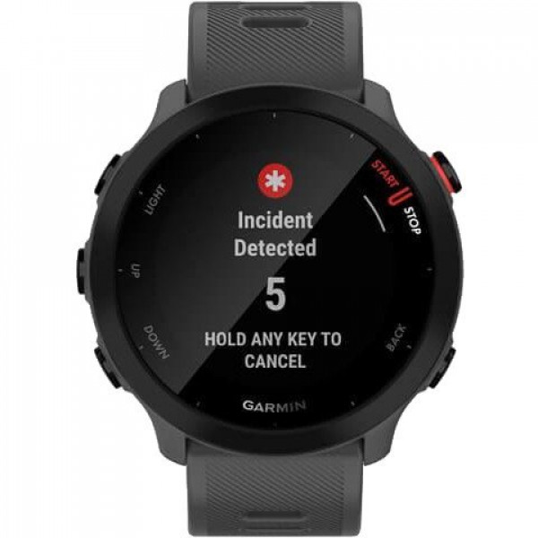 Спортивные часы Garmin Forerunner 55 Monterra Grey (010-02562-13)