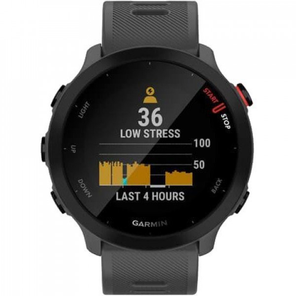 Спортивные часы Garmin Forerunner 55 Monterra Grey (010-02562-13)