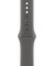 Смарт-годинник Apple Watch Series 10 GPS + Cellular 46mm Natural Titanium Case w. Stone Grey Sport Band - M/L (MWYA3)
