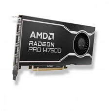 Відеокарта AMD Radeon PRO W7500 8 GB (100-300000078)