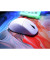 миша Xtrfy M64 Pro 8K Wireless White (CX-M64W-PRO-WHITE)