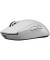 Мышь Logitech G Pro X Superlight 2 Lightspeed Wireless White (910-006638, 910-006639)