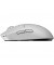 Мышь Logitech G Pro X Superlight 2 Lightspeed Wireless White (910-006638, 910-006639)