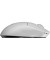 Мышь Logitech G Pro X Superlight 2 Lightspeed Wireless White (910-006638, 910-006639)