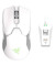 мышь Razer Viper Ultimate Wireless & Mouse Dock Mercury White (RZ01-03050400-R3M1)