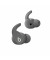 Наушники TWS Beats by Dr. Dre Fit Pro Sage Gray (MK2J3)