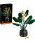 Блоковий конструктор LEGO Botanicals Райський птах (10289)