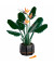 Блоковий конструктор LEGO Botanicals Райський птах (10289)