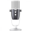 Мікрофон студійний/ для ПК/ для стрімінгу, подкастів AKG Ara C22